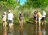 jóvenes dentro de agua investigando