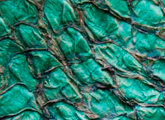 textura verde